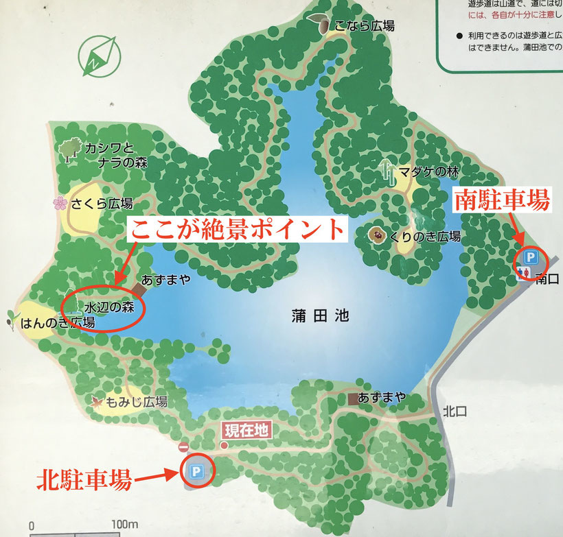 篠栗九大の森5.jpg