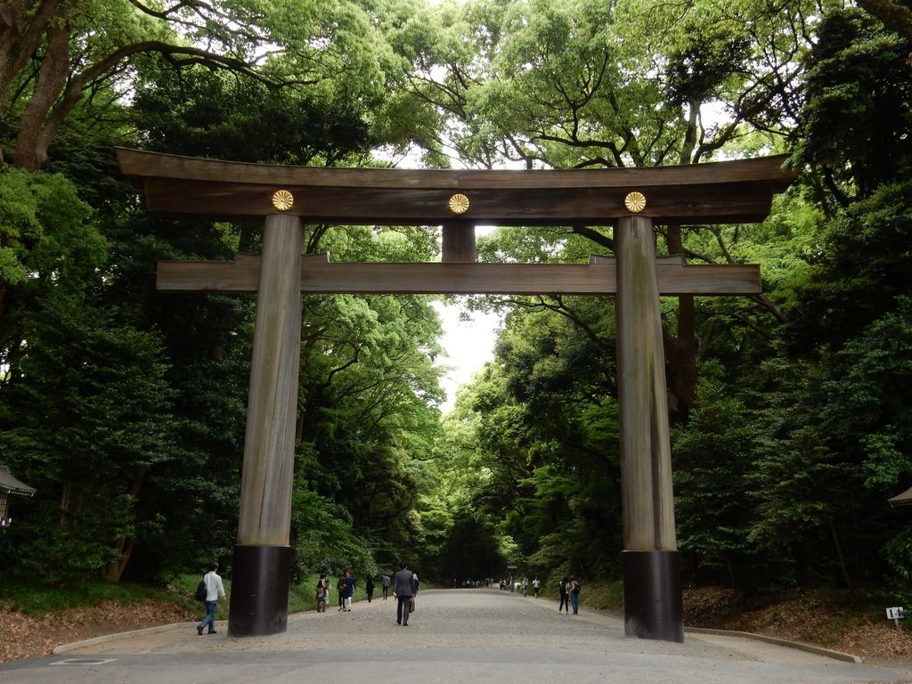 東京都明治神宮木造大鳥居高12公尺