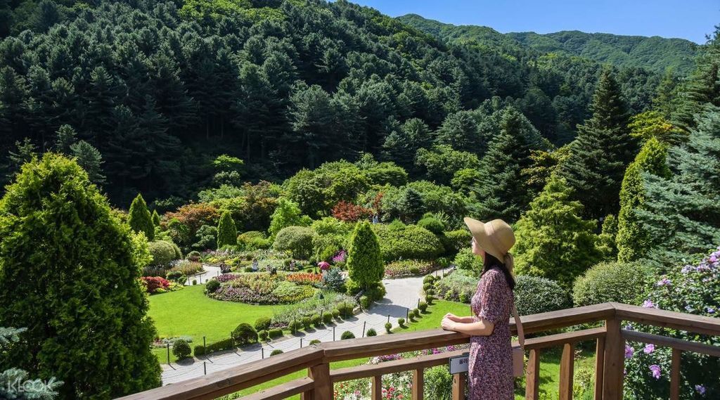 아침고요수목원 晨靜樹木園2