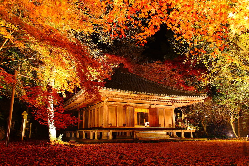 九州紅葉名所 富貴寺 極上の綺麗な世界 曾贇唐の究極奧義ブログ 痞客邦