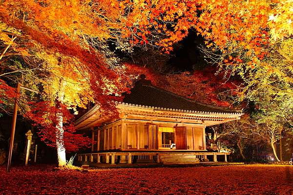 九州紅葉名所 富貴寺 極上の綺麗な世界 勝軍先生の究極奧義ブログ 痞客邦 九州紅葉名所 富貴寺 極上の綺麗な世界 勝軍先生の究極奧義ブログ 痞客邦