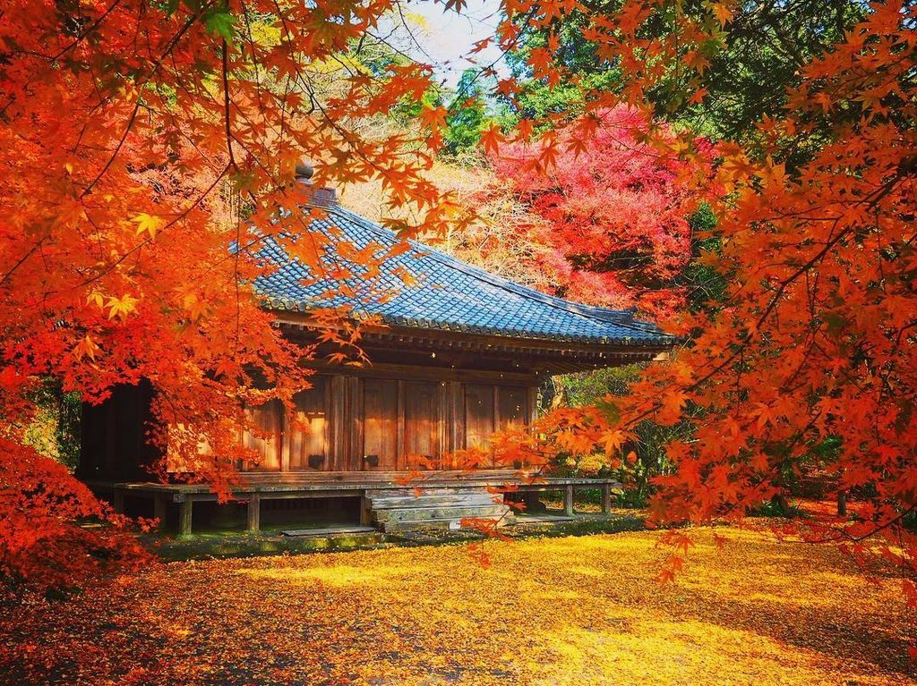 九州紅葉名所 富貴寺 極上の綺麗な世界 曾贇唐の究極奧義ブログ 痞客邦