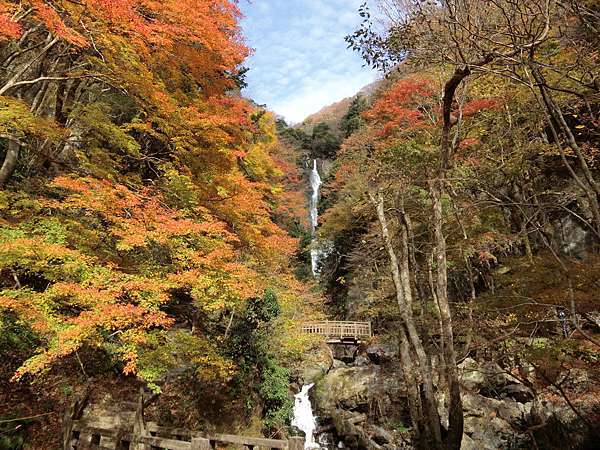 日本 極上山陰山陽紅葉秘境day4 神庭の滝 ギャラリー カフェken 工房 極上の綺麗な世界 勝軍先生の究極奧義ブログ 痞客邦