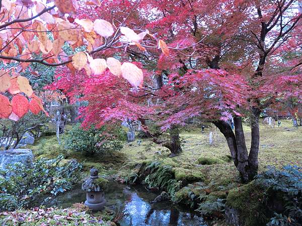 日本 極上山陰山陽紅葉秘境day4 由志園 紅葉ライトアップ 江島大橋 ベタ踏み坂 極上の綺麗な世界 勝軍先生の究極奧義ブログ 痞客邦 日本 極上山陰山陽紅葉秘境day4 由志園 紅葉ライトアップ 江島大橋 ベタ踏み坂 極上の綺麗な世界 勝軍先生の究極奧義ブログ 痞客邦