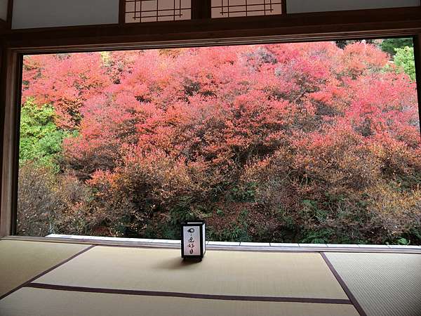 日本 極上山陰山陽紅葉秘境day5 但馬安国寺 ドウダンツツジの紅葉 極上の綺麗な世界 勝軍先生の究極奧義ブログ 痞客邦