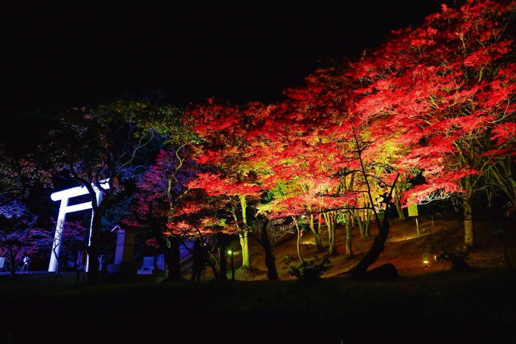 土津神社の紅葉と七色LEDライトアップ