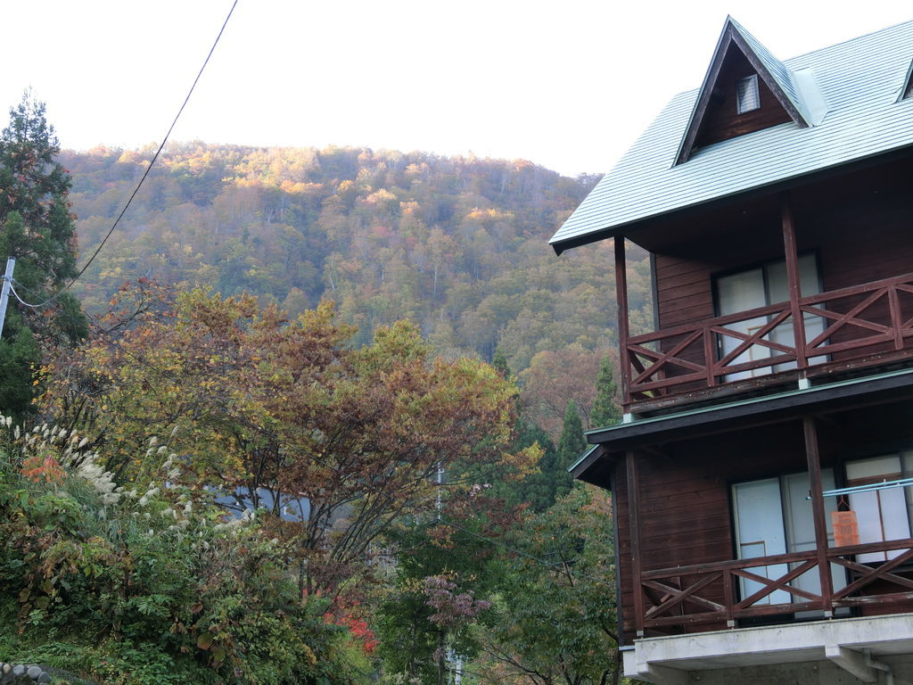 極上陸奧甲信越秋楓day9 日本の原風景 日本の秘境百選 秋山郷 結東じゃまくら石公園 見倉橋 猿飛橋 極上の綺麗な世界