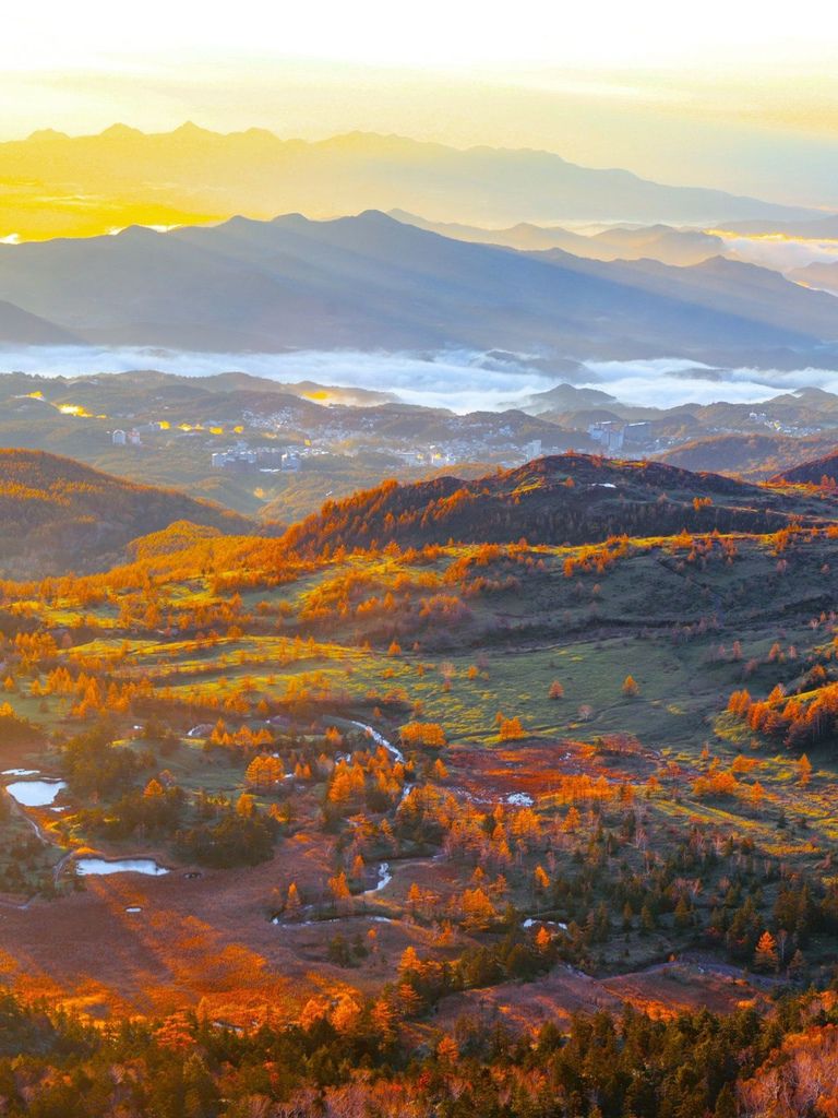 渋峠 紅葉 見頃