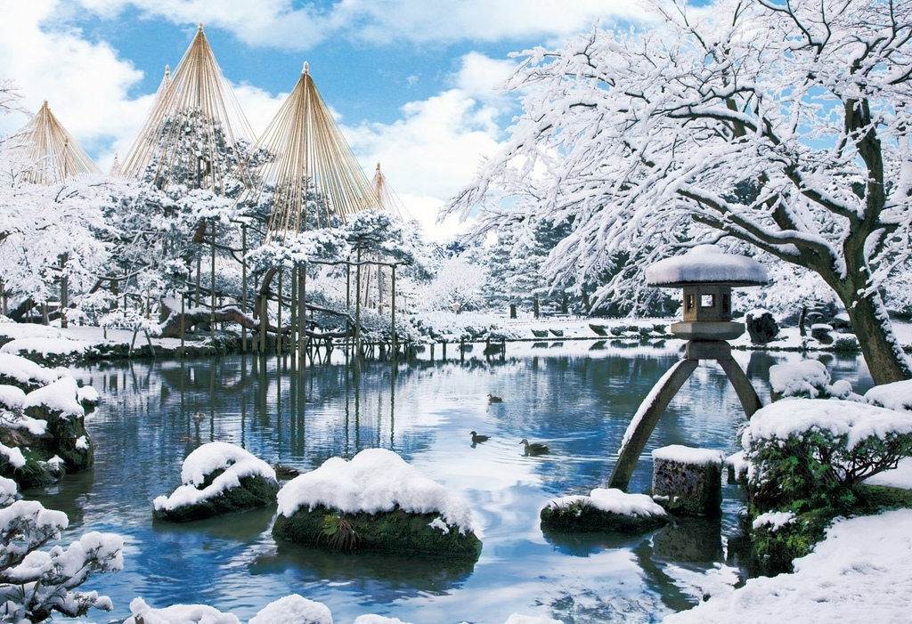 金沢 兼六園 雪吊り.jpg