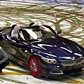 z4paint1