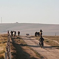 20081001_希拉穆仁天鵝湖_呼和浩特_05.jpg