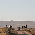 20081001_希拉穆仁天鵝湖_呼和浩特_06.jpg