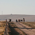 20081001_希拉穆仁天鵝湖_呼和浩特_07.jpg