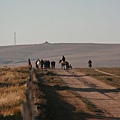 20081001_希拉穆仁天鵝湖_呼和浩特_08.jpg