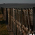 20081001_希拉穆仁天鵝湖_呼和浩特_14.jpg
