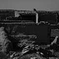 20081001_希拉穆仁天鵝湖_呼和浩特_21.jpg