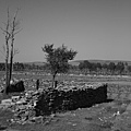 20081001_希拉穆仁天鵝湖_呼和浩特_23.jpg