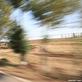 20081001_希拉穆仁天鵝湖_呼和浩特_32.jpg