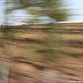 20081001_希拉穆仁天鵝湖_呼和浩特_33.jpg