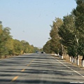 20081001_希拉穆仁天鵝湖_呼和浩特_34.jpg