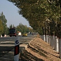 20081001_希拉穆仁天鵝湖_呼和浩特_37.jpg
