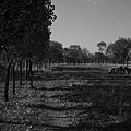 20081001_希拉穆仁天鵝湖_呼和浩特_44.jpg