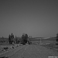 20081001_希拉穆仁天鵝湖_呼和浩特_46.jpg
