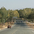 20081001_希拉穆仁天鵝湖_呼和浩特_54.jpg