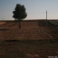 20081001_希拉穆仁天鵝湖_呼和浩特_55.jpg
