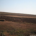 20081001_希拉穆仁天鵝湖_呼和浩特_56.jpg