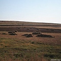 20081001_希拉穆仁天鵝湖_呼和浩特_57.jpg