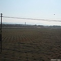 20081001_希拉穆仁天鵝湖_呼和浩特_62.jpg