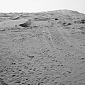 20081002_響沙灣_014.jpg