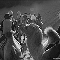 20081002_響沙灣_017.jpg