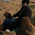 20081002_響沙灣_059.jpg