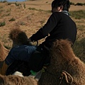 20081002_響沙灣_060.jpg