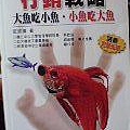 行銷戰略_大魚吃小魚_小魚吃大魚.JPG