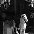 20081115_Jaktujak_015.jpg