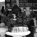 20081115_Jaktujak_016.jpg