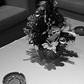 20081221_BillBdayParty_007.jpg
