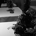 20081221_BillBdayParty_008.jpg