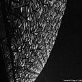 20090912_Ting_蘇州_20.jpg