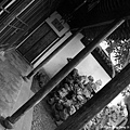 20090911_Ting_蘇州平江街_ 036.jpg