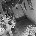 20090911_Ting_蘇州平江街_ 038.jpg