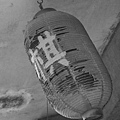 20090911_Ting_蘇州平江街_ 046.jpg