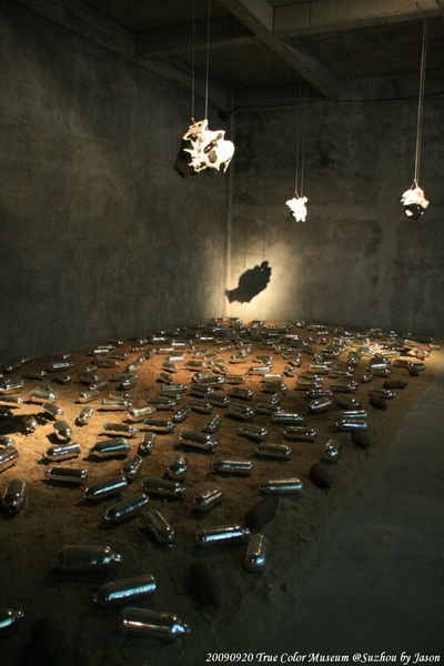 20090920_Suzhou_TrueColorMuseum_Ting_08.jpg