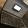 20090920_Suzhou_TrueColorMuseum_Ting_19.jpg