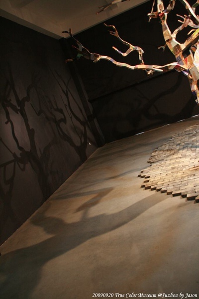 20090920_Suzhou_TrueColorMuseum_Ting_68.jpg