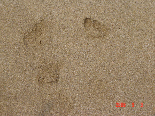 我的小腳Y子印喔~~