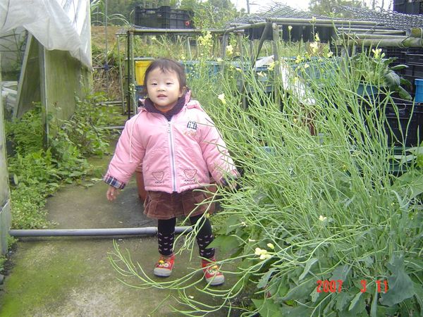 後面還有種好多的花喔~~